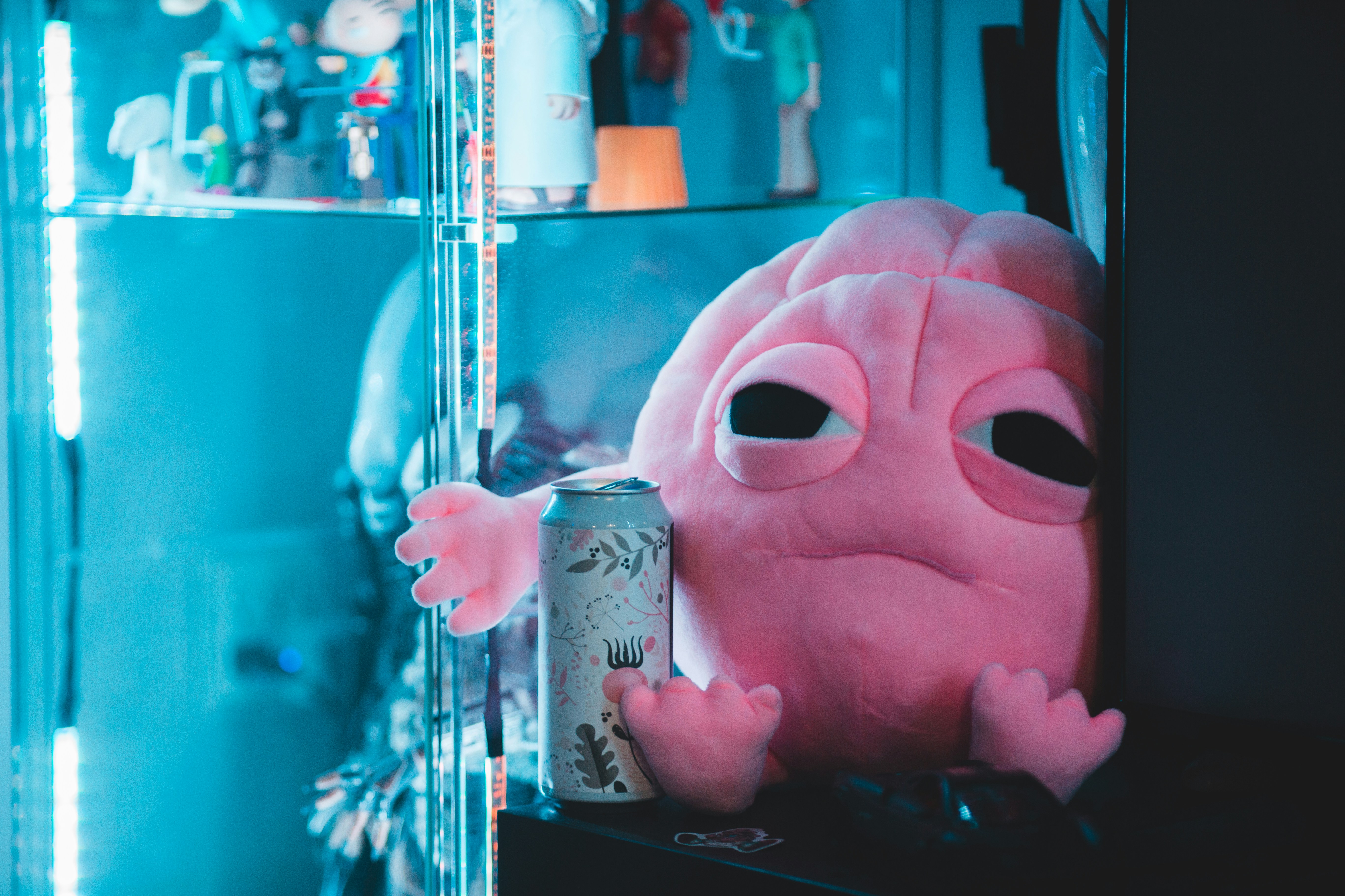 ガラスの棚の上の白と緑のイージーオープン缶の近くにピンクのキャラクターのぬいぐるみの写真 Unsplashで見つける人の無料写真