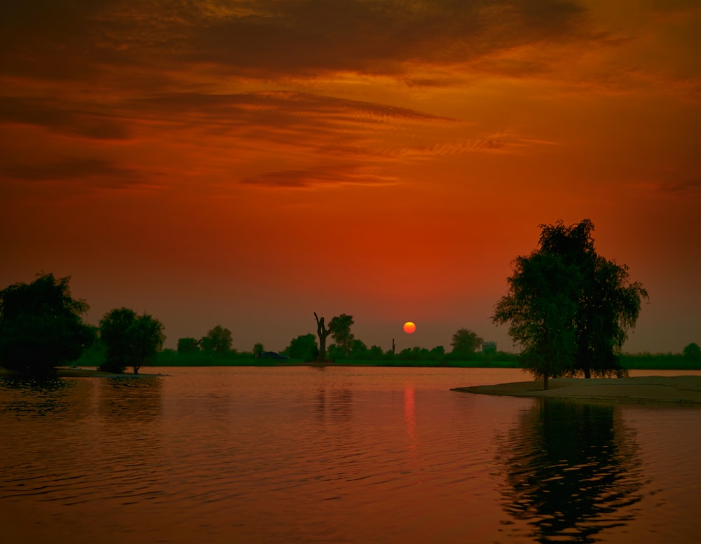 body of water surrounded with trees showing full moon view