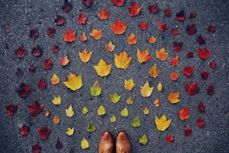 leaves on floor