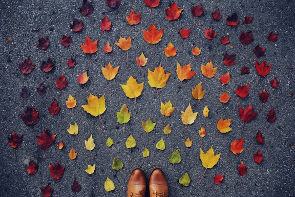 leaves on floor