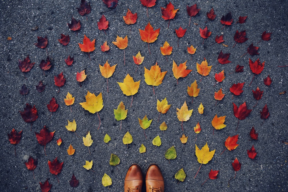 leaves on floor