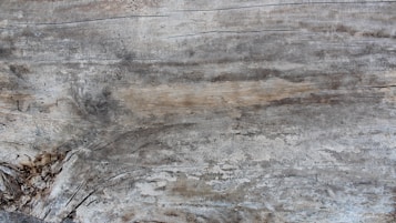 The image displays a close-up view of a textured wooden surface with visible grain patterns and natural color variations, including areas of gray, brown, and hints of beige. Small indentations and lines run horizontally across the surface, adding to the texture.