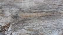 The image displays a close-up view of a textured wooden surface with visible grain patterns and natural color variations, including areas of gray, brown, and hints of beige. Small indentations and lines run horizontally across the surface, adding to the texture.