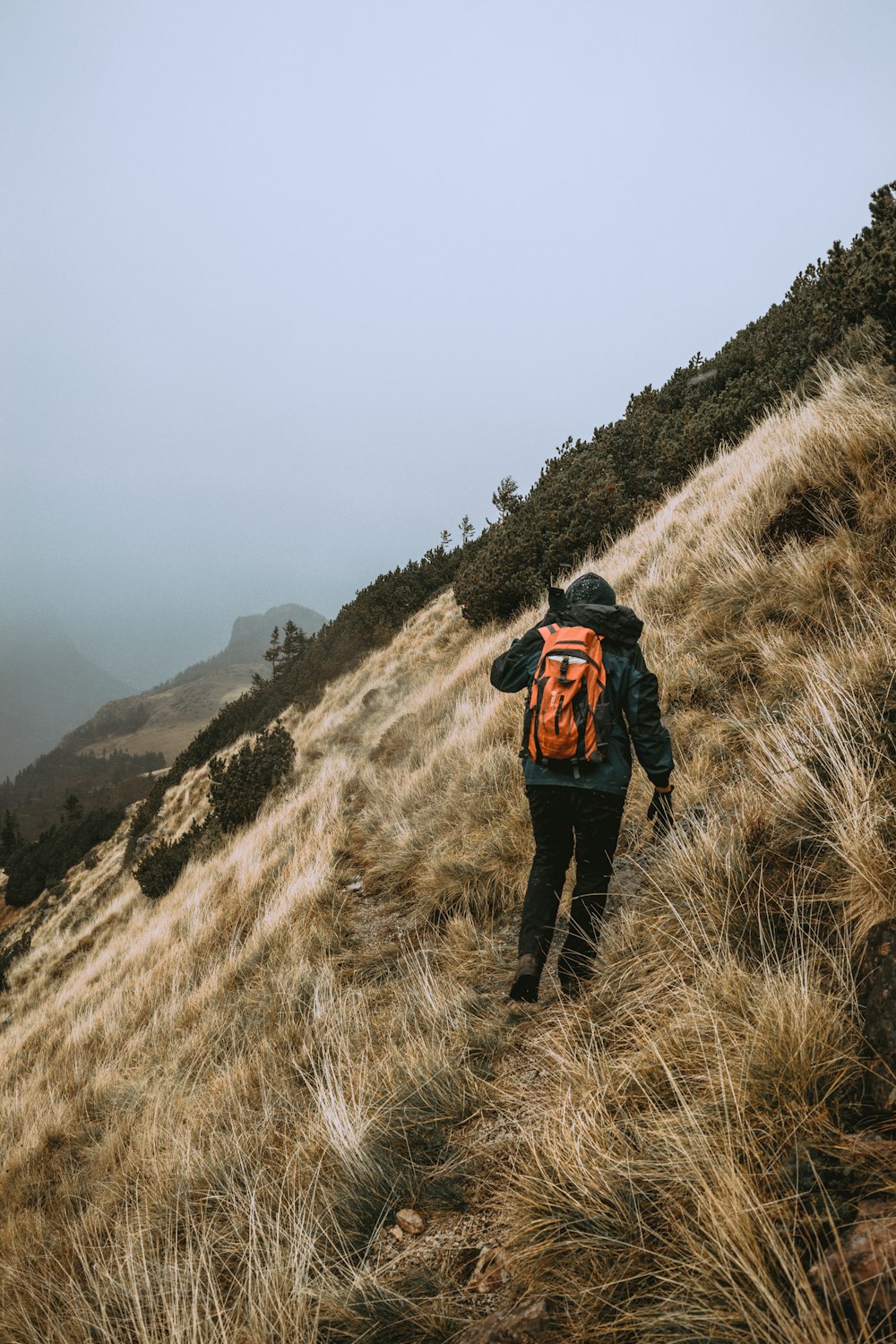 person in black jacking walking on hill