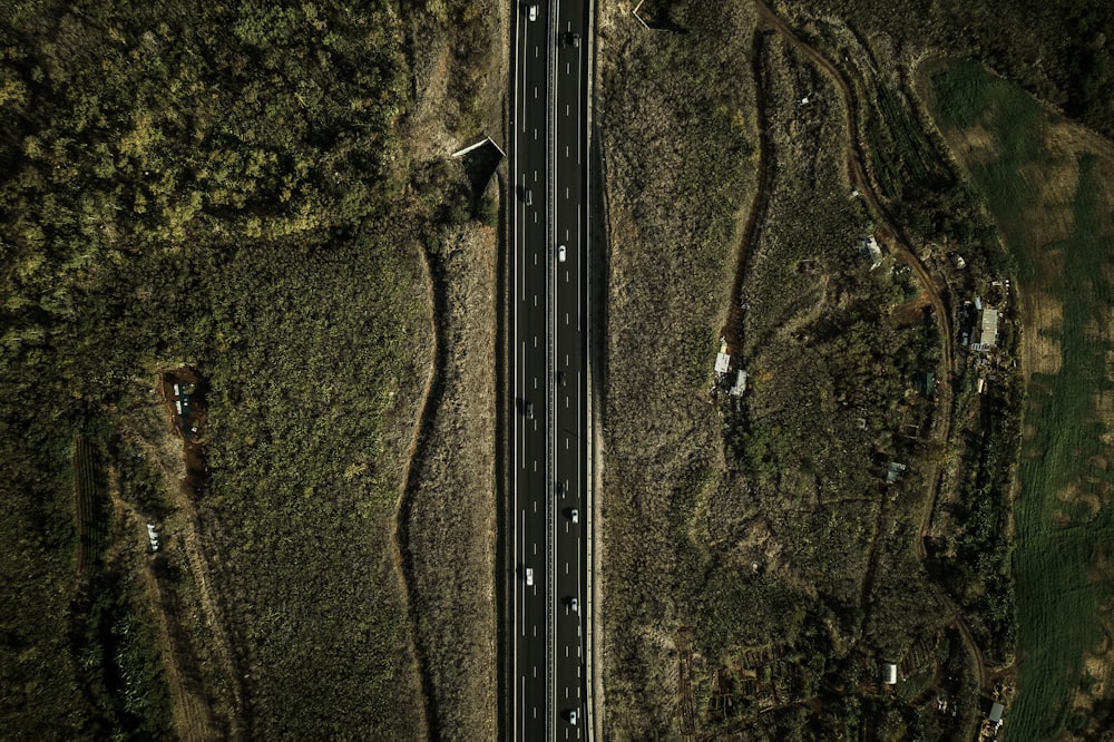 eagle eye photography of road surrounded by green field