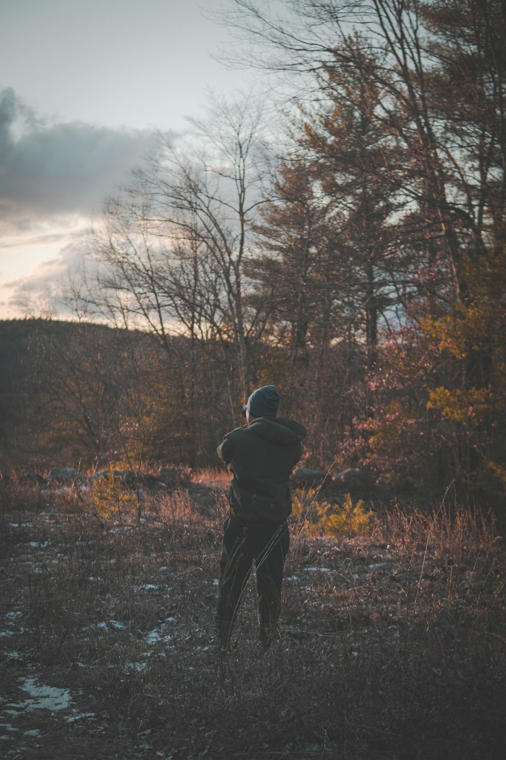 person standing near trees under cloudy sky