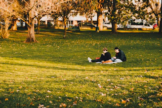 A couple sharing a quiet, sun-drenched moment in a park, surrounded by autumn leaves.