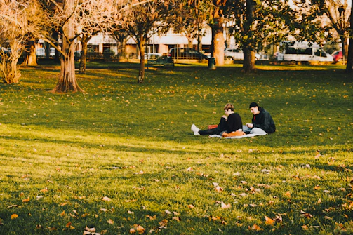 A couple sharing a quiet, sun-drenched moment in a park, surrounded by autumn leaves.