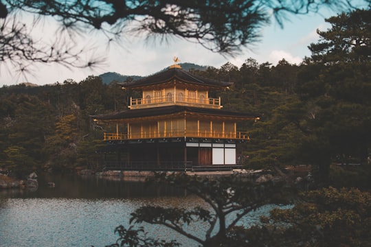 brown temple near river in Kinkaku-ji Japan