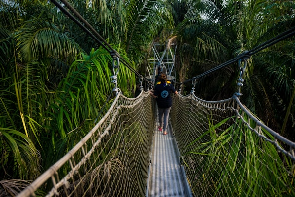 Lekki Conservation Centre, Bridge, Lagos, Nigeria