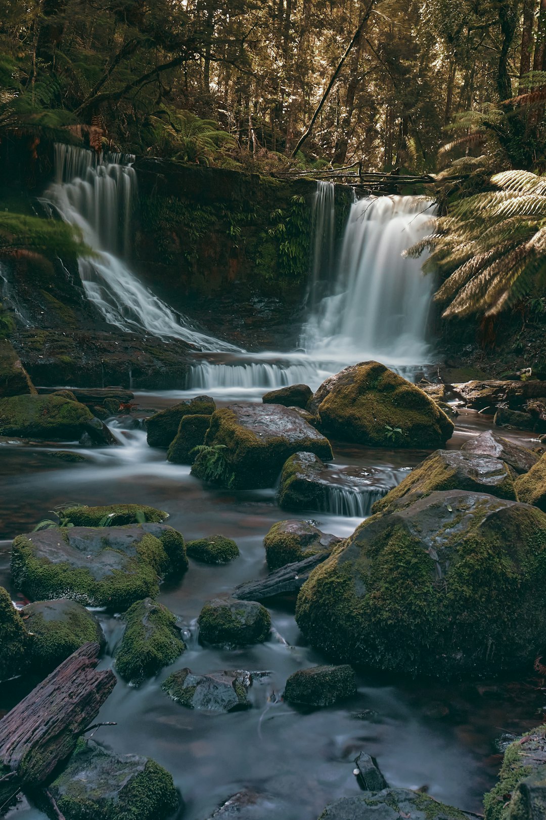 travelers stories about Waterfall in Mount Field TAS, Australia