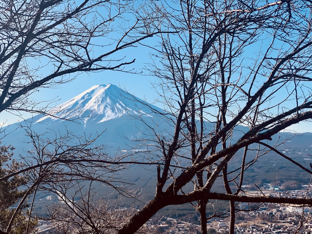 landscape photography of houses on field viewing summit of mountain under blue and white sky