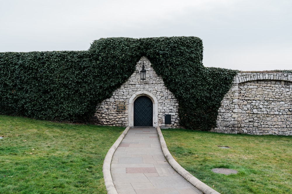 pathway and building during day