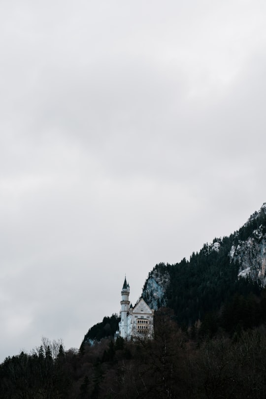 None in Neuschwanstein Castle Germany