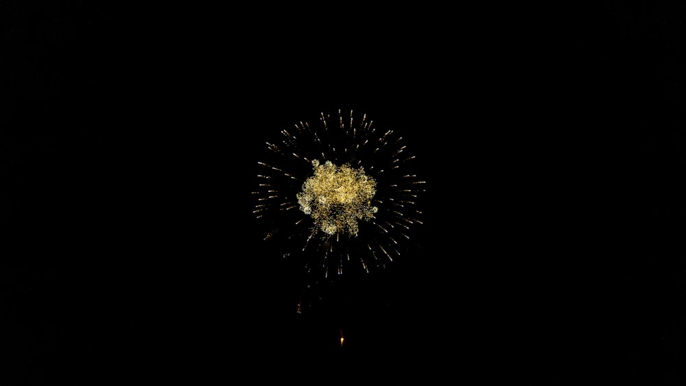 time-lapse photography of fireworks exploding in the sky during nighttime