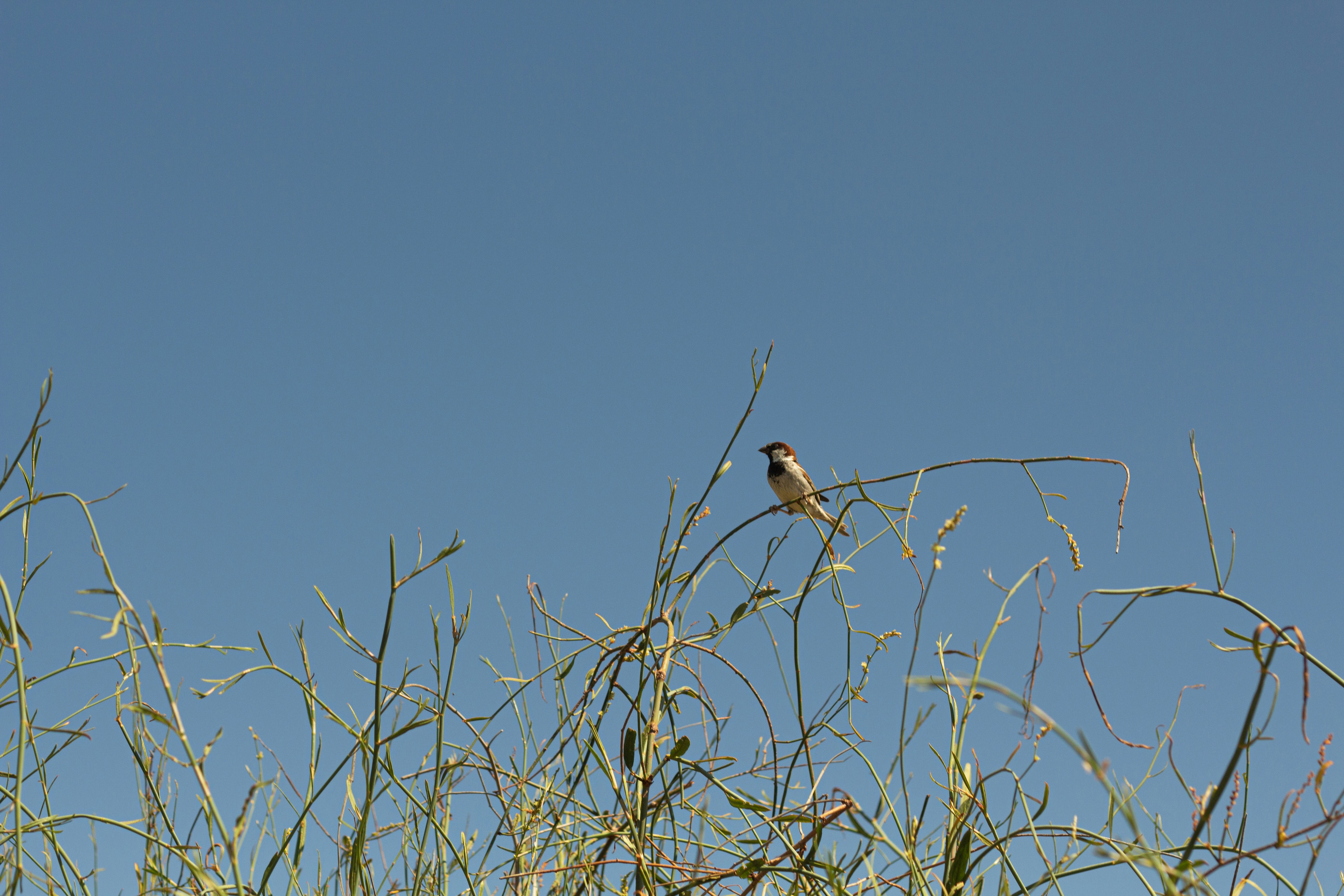 Photo by jeromejiraffe