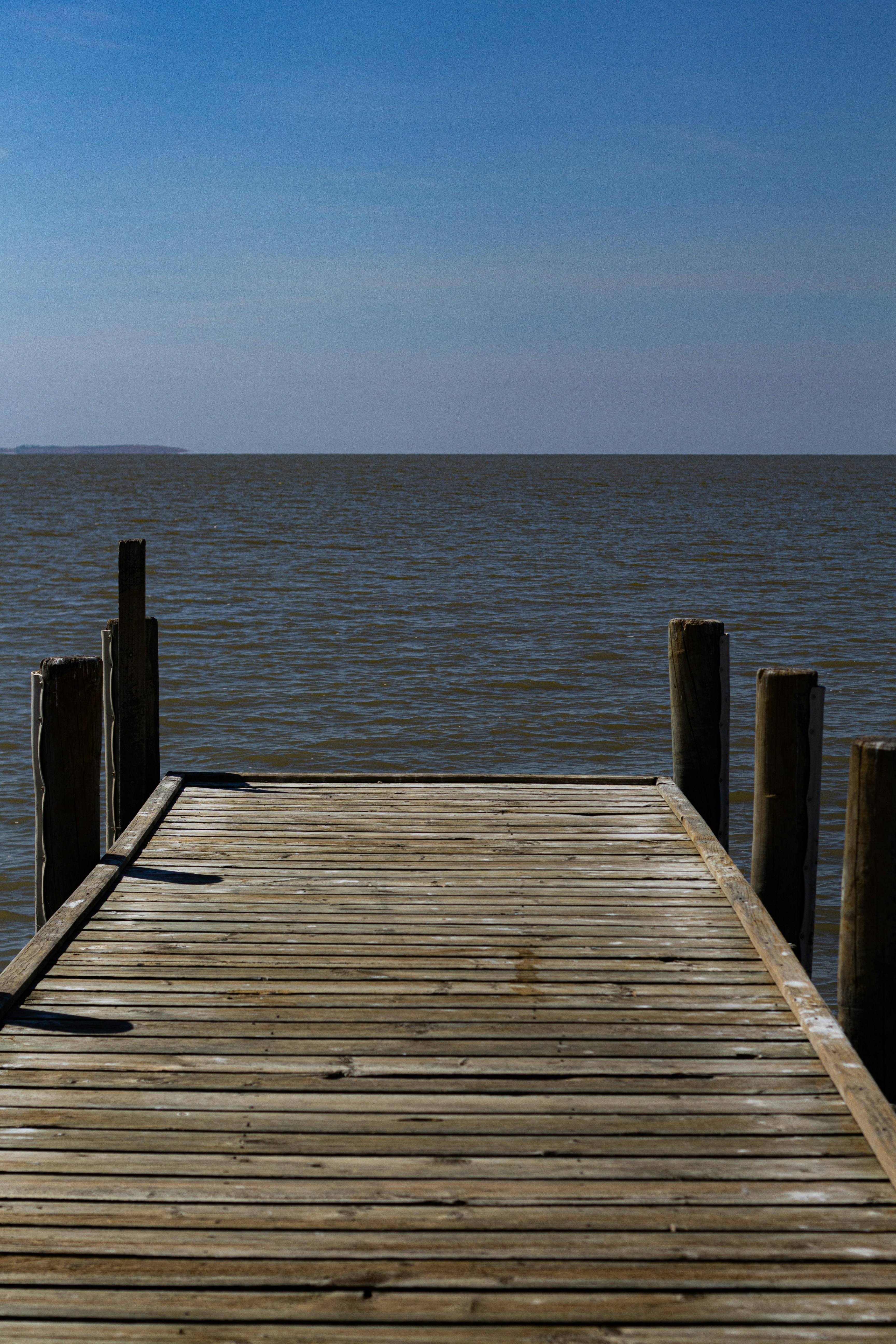 Photo by jeromejiraffe