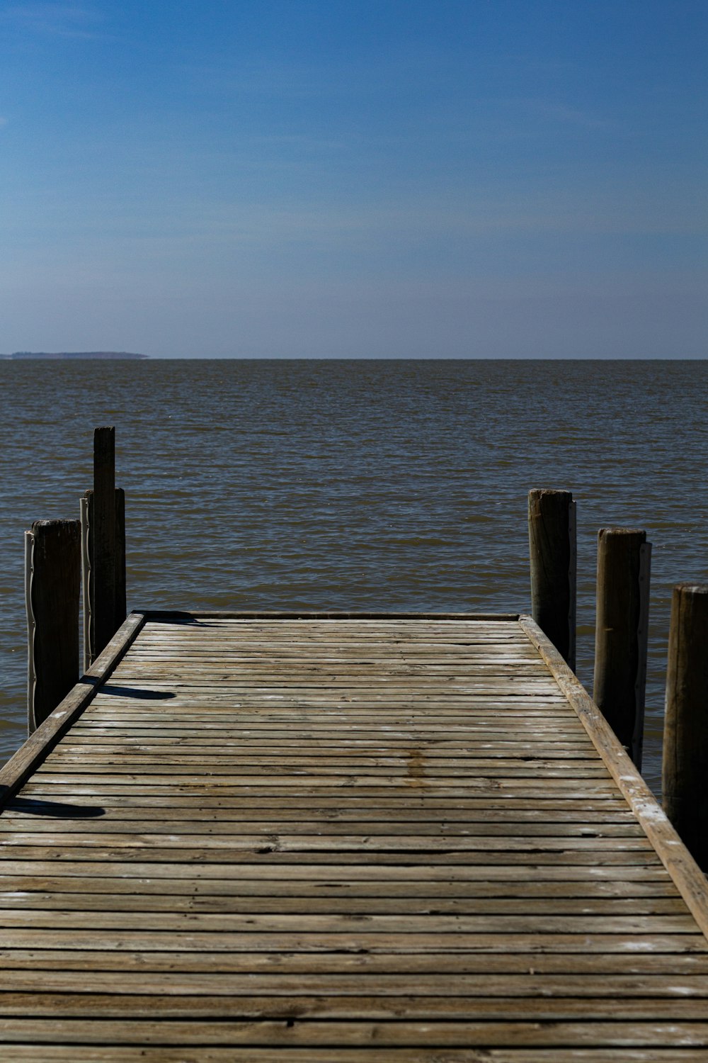 brown wooden dock near body of water