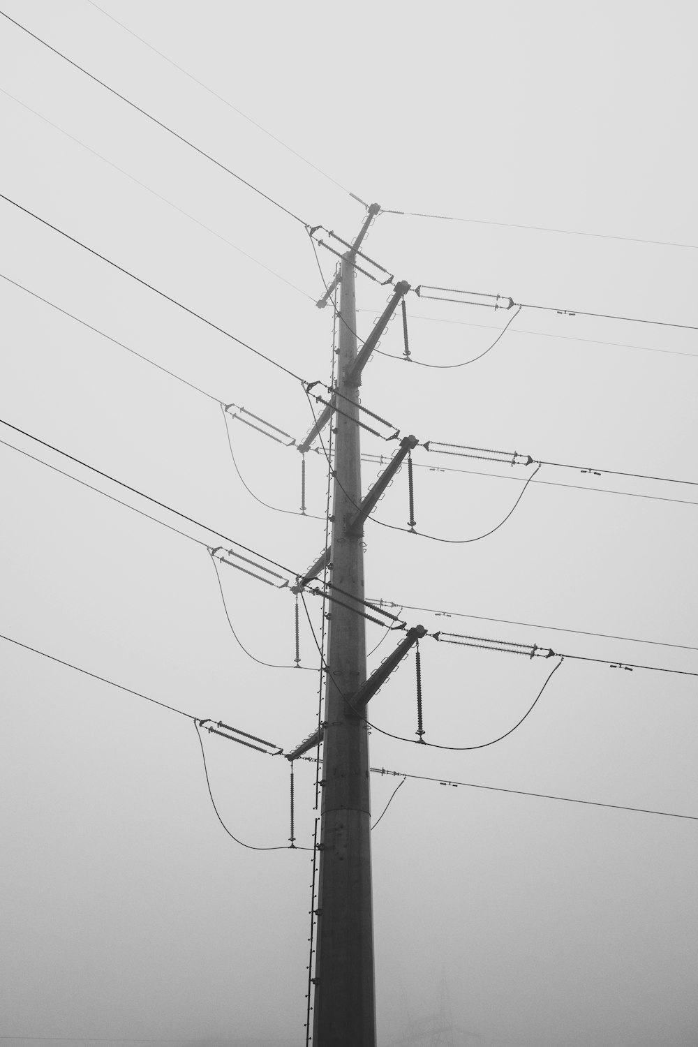 a telephone pole in the middle of a foggy day