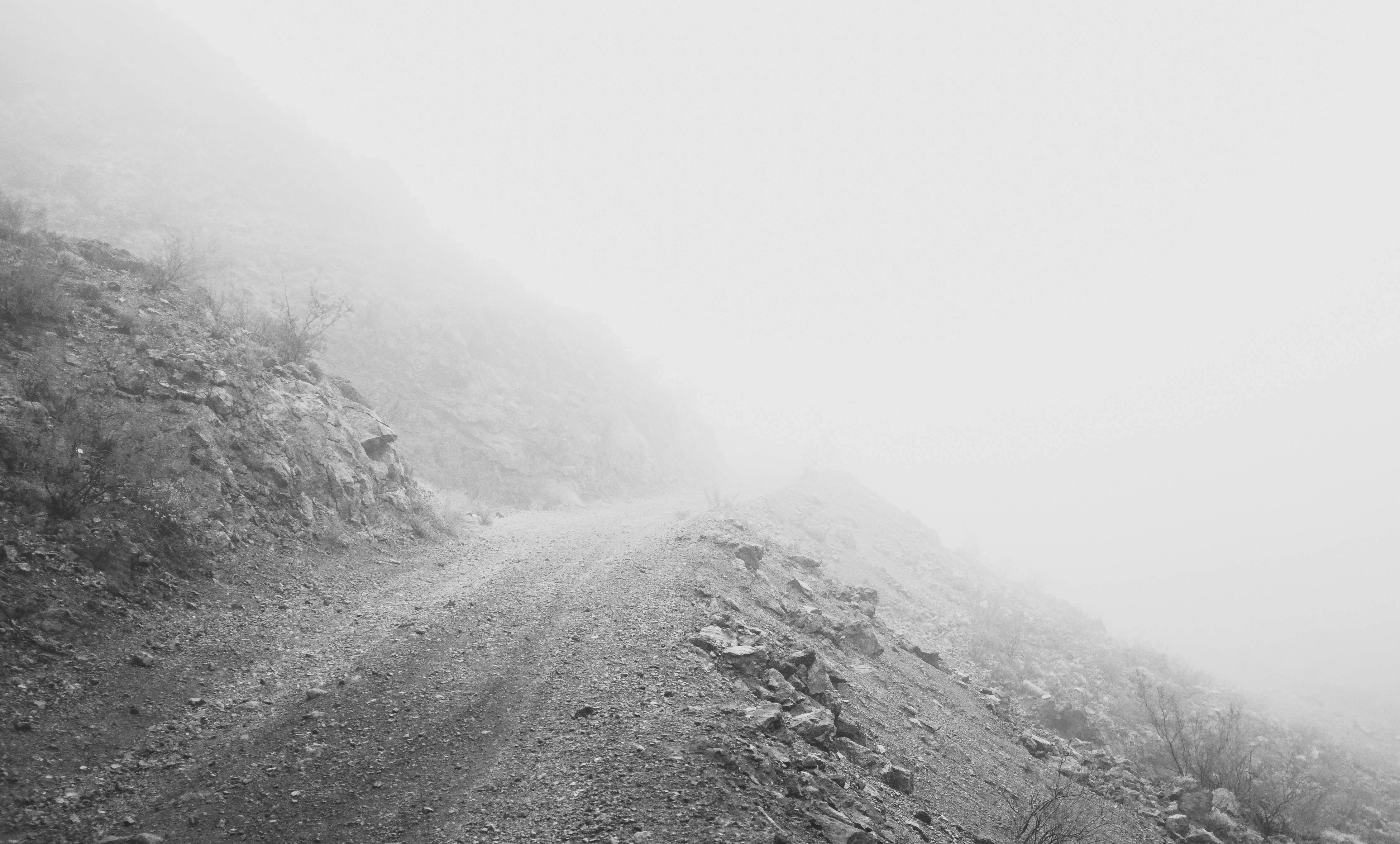 Photo by wesleyphotography