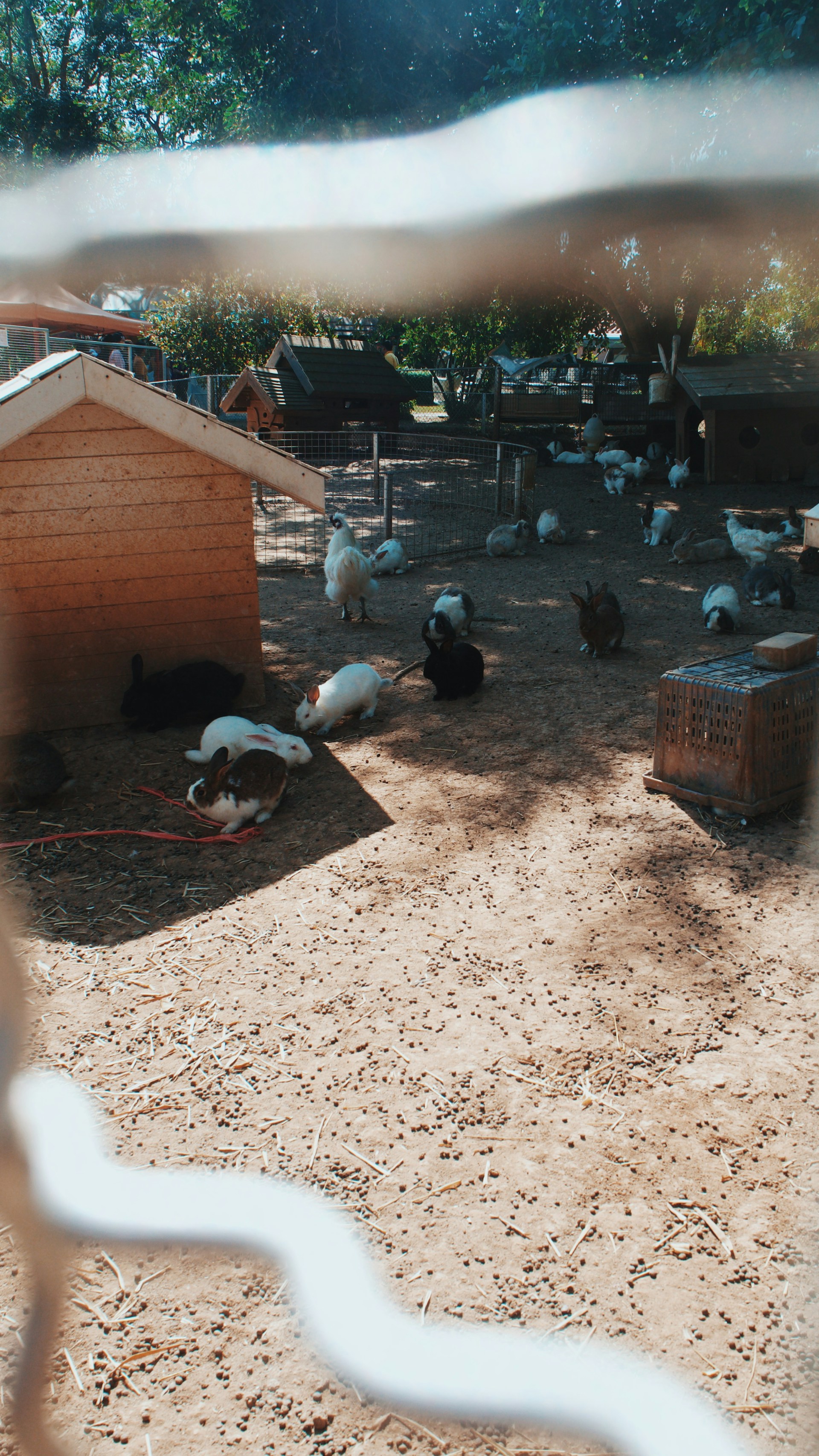 black and brown leather padded tub sofa