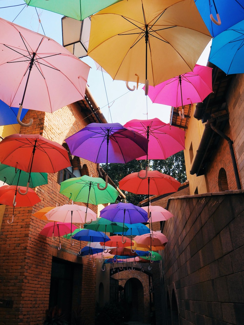 assorted-color umbrella hanging beside building