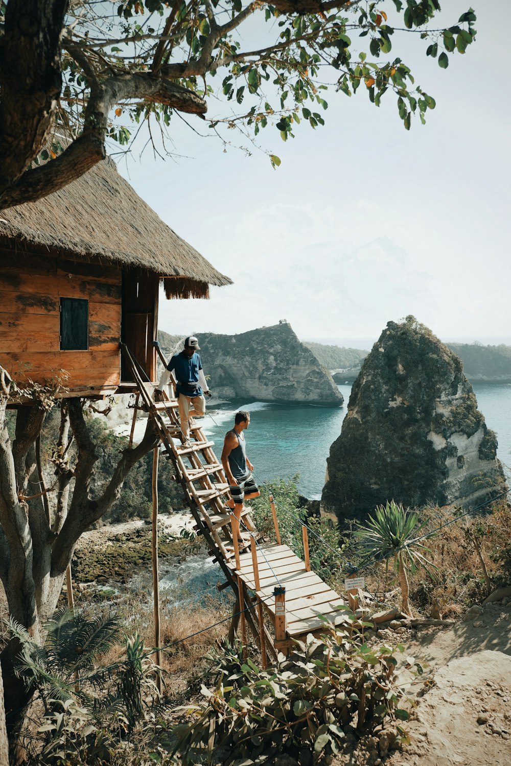 two men walking down a ladder from a tree house