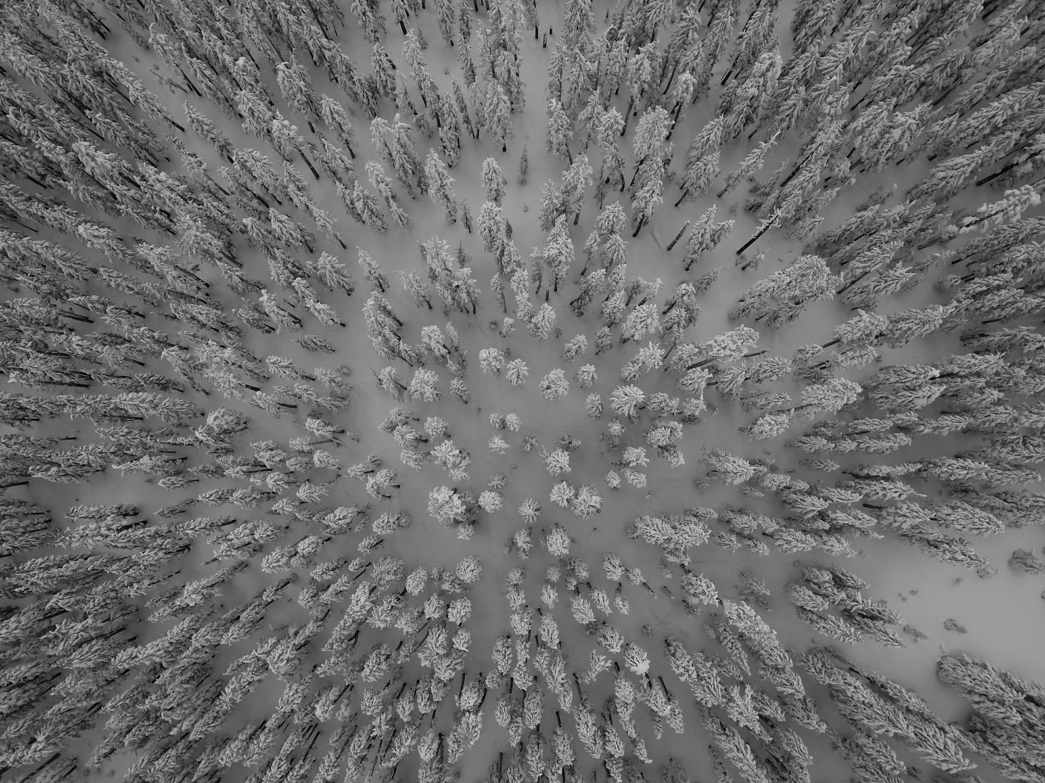 Photo by alekskuprfilmz