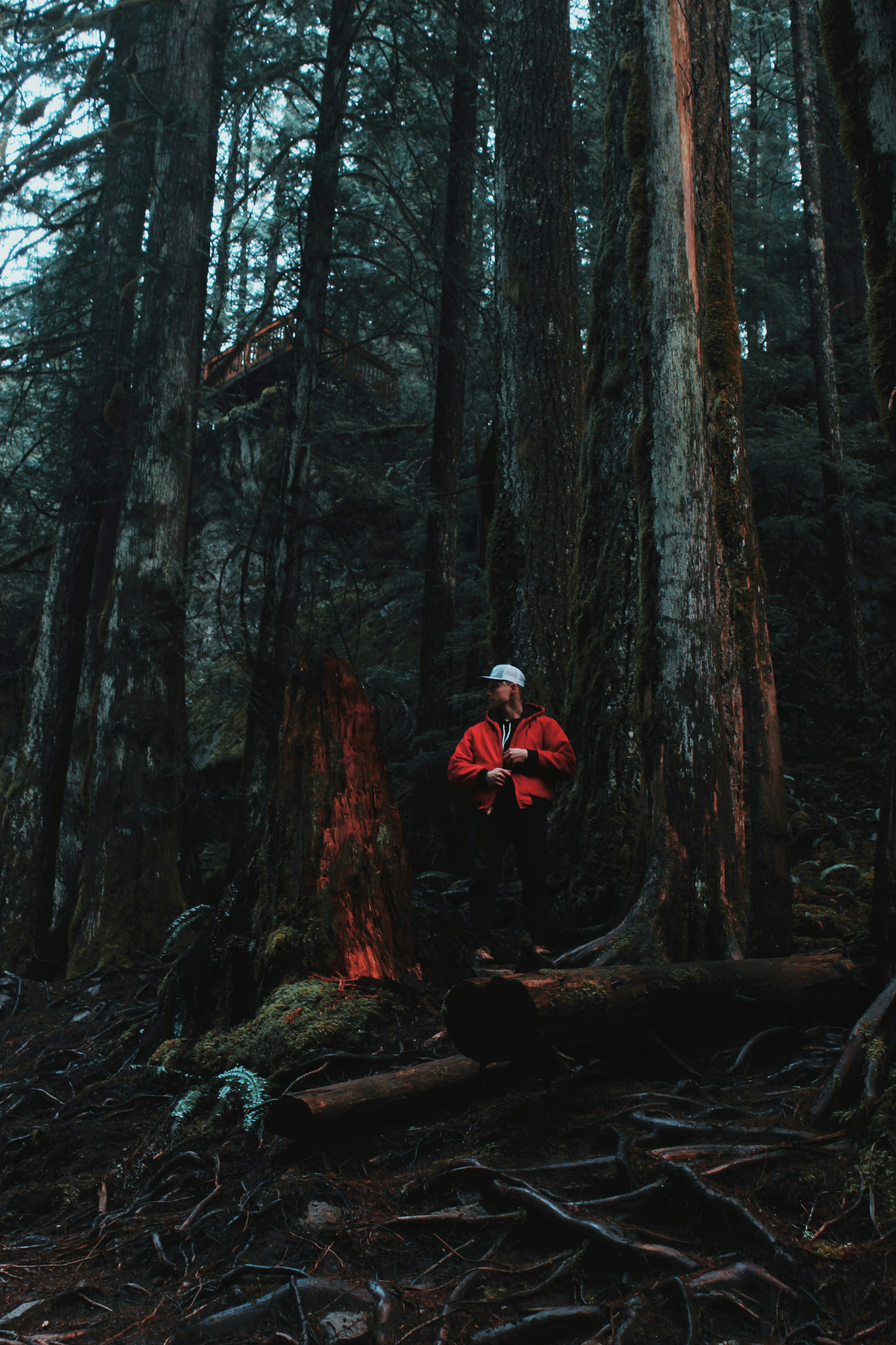 Photo by alekskuprfilmz