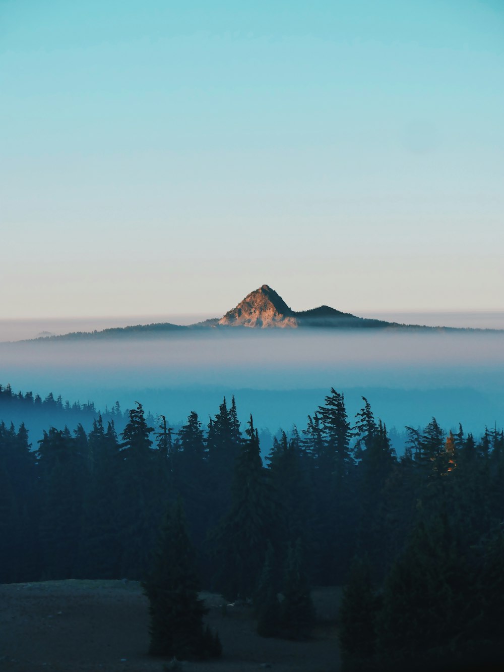 mountain in forest