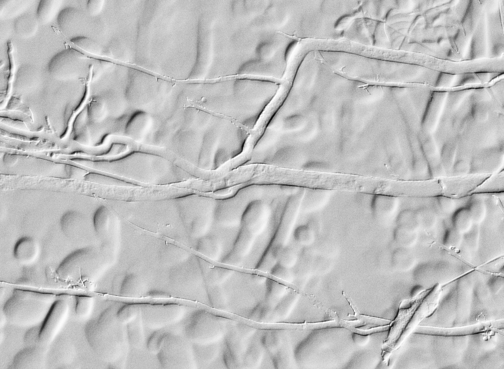 woman wearing yellow long-sleeved dress under white clouds and blue sky during daytime