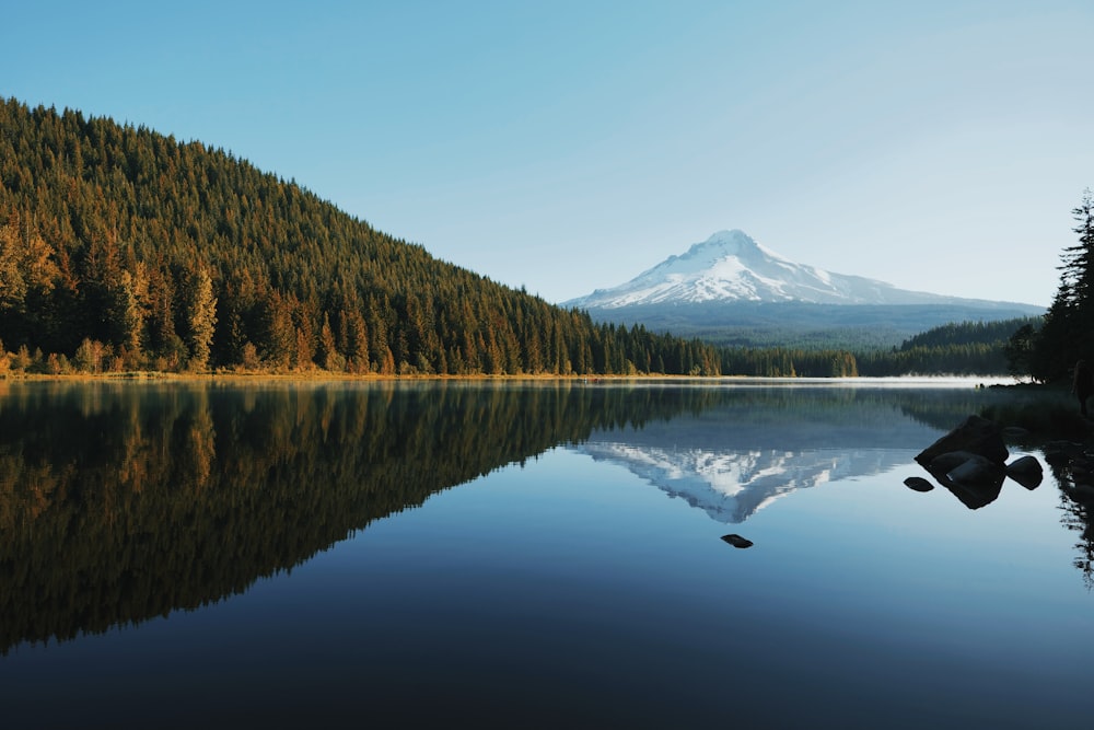 landscape photography of body of water surrounded with green trees viewing mountain under blue and white sky