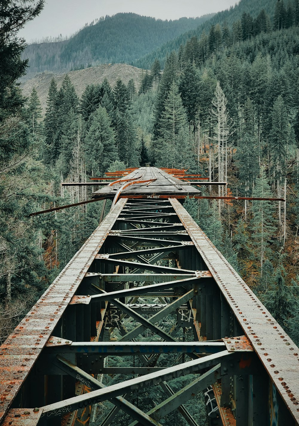 brown iron bridge between trees in the mountain