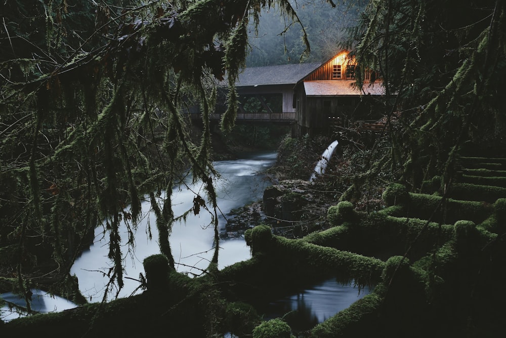 uma casa na floresta ao lado de um rio