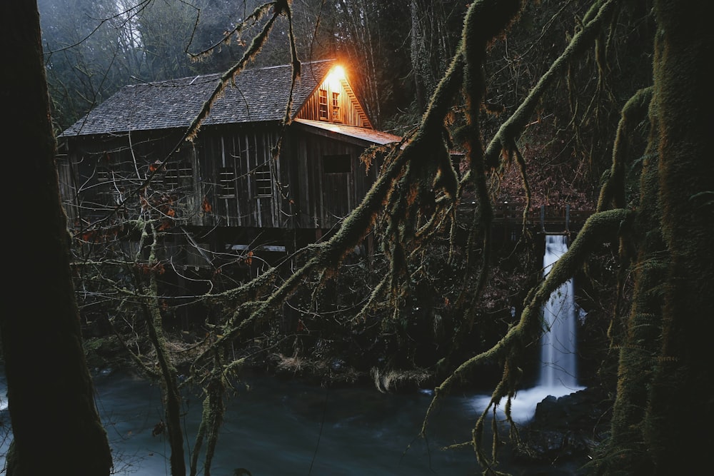 brown cabin near body of water in forets