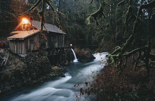 A rustic wooden cabin is situated in a dense forest, illuminated by warm light emanating from its windows. A small waterfall flows beside the cabin, with a serene stream winding through the lush greenery. Moss-covered tree branches frame the scene, adding to the natural ambiance.