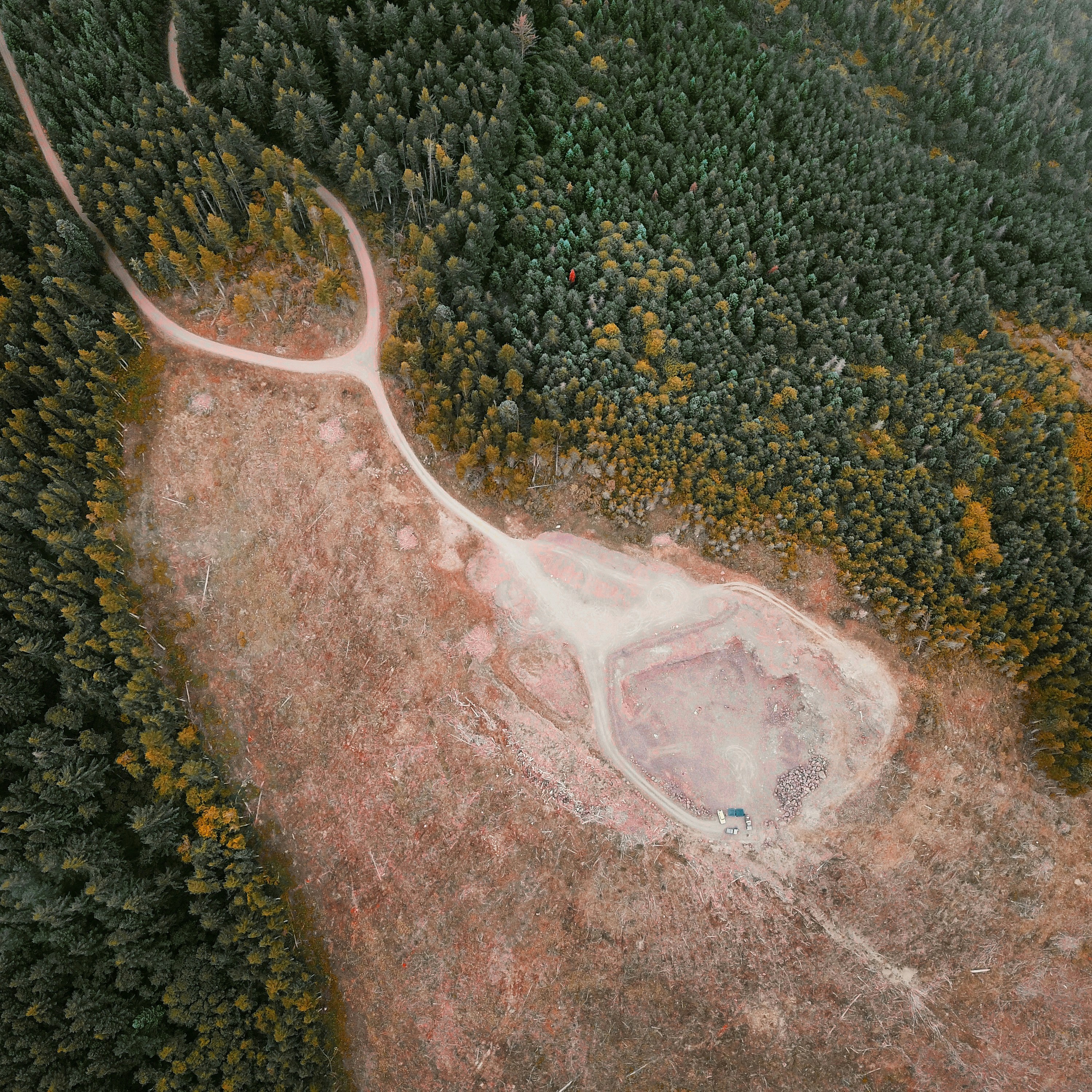 aerial photography of an open field surrounded with green trees