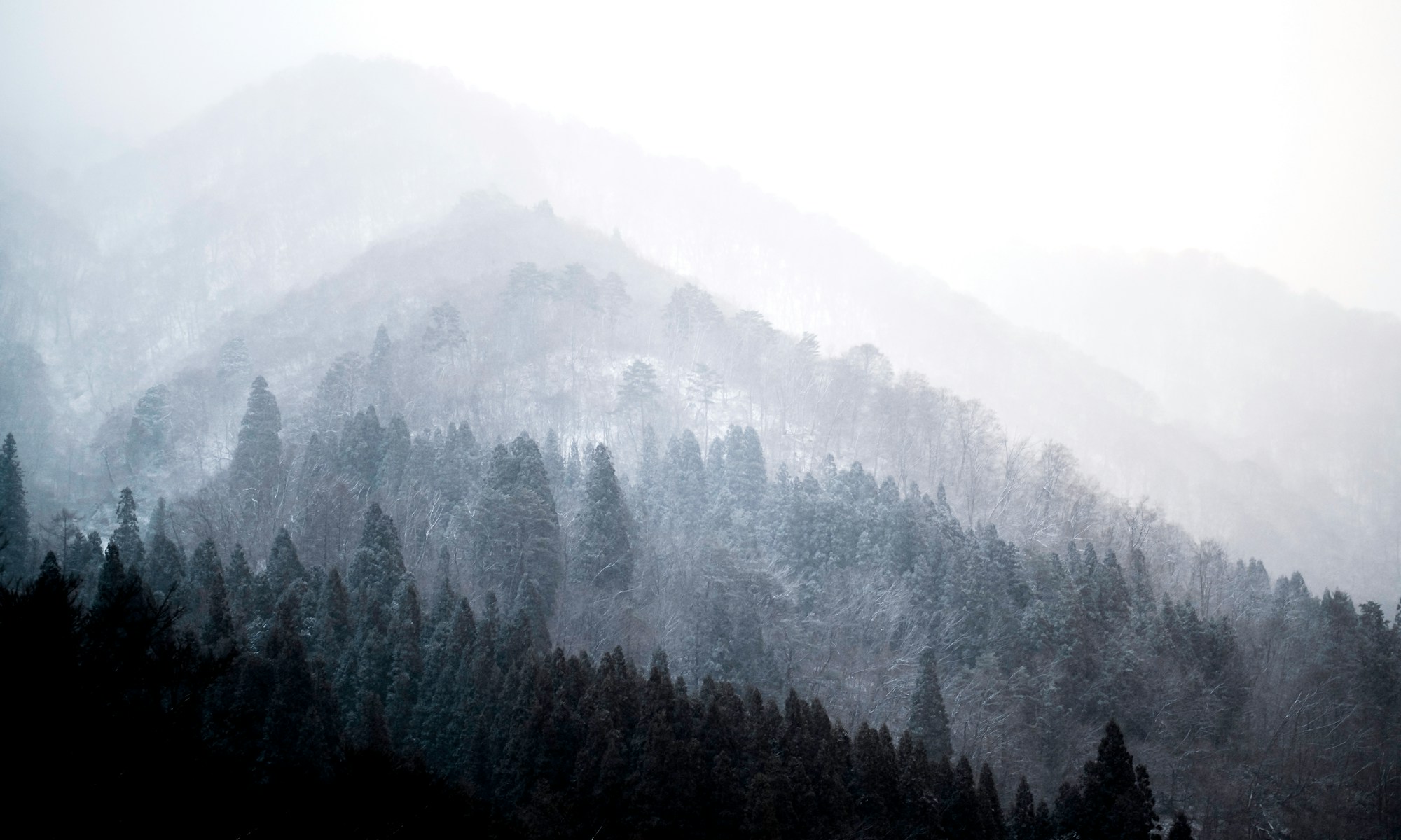 Best Times to Visit Shirakawago: Ideal Seasons & Weather Guide