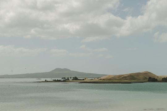 Musick Point things to do in Narrow Neck Beach