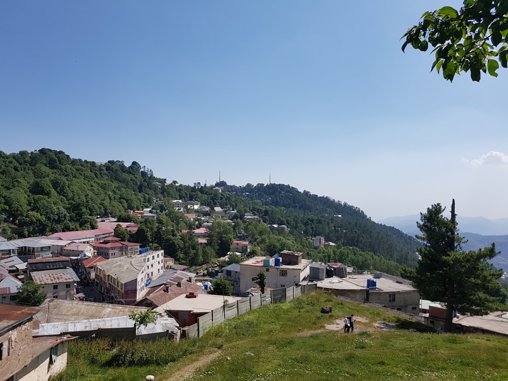 buildings, trees, and mountains during day