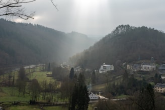 A rural village nestled in a valley surrounded by densely forested hills. Soft light filters through the clouds, casting a serene glow over the landscape. The village features a cluster of homes, a church, and open grassy fields. A small river winds through the valley, bordered by bare trees.