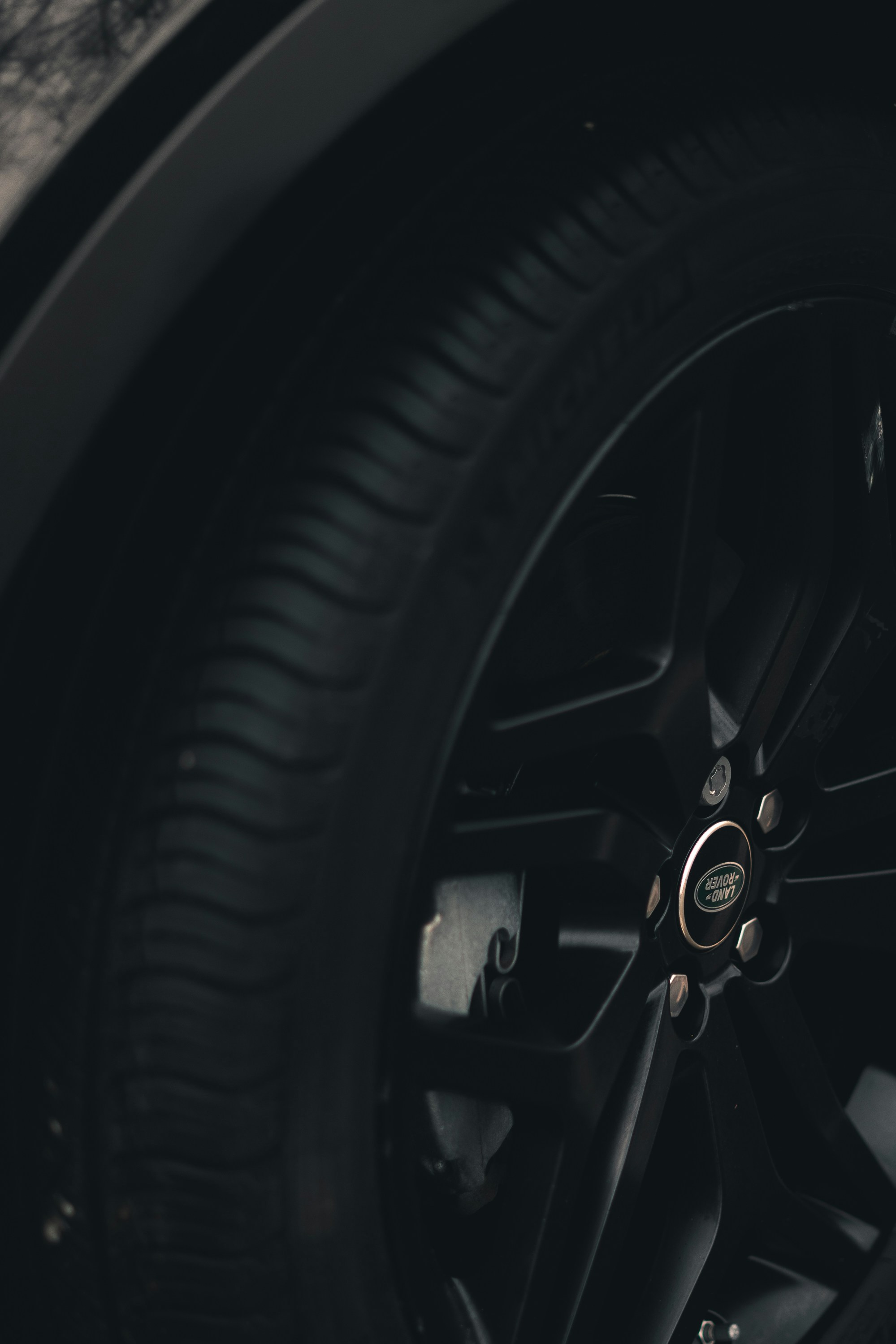 Photo by loris_marie