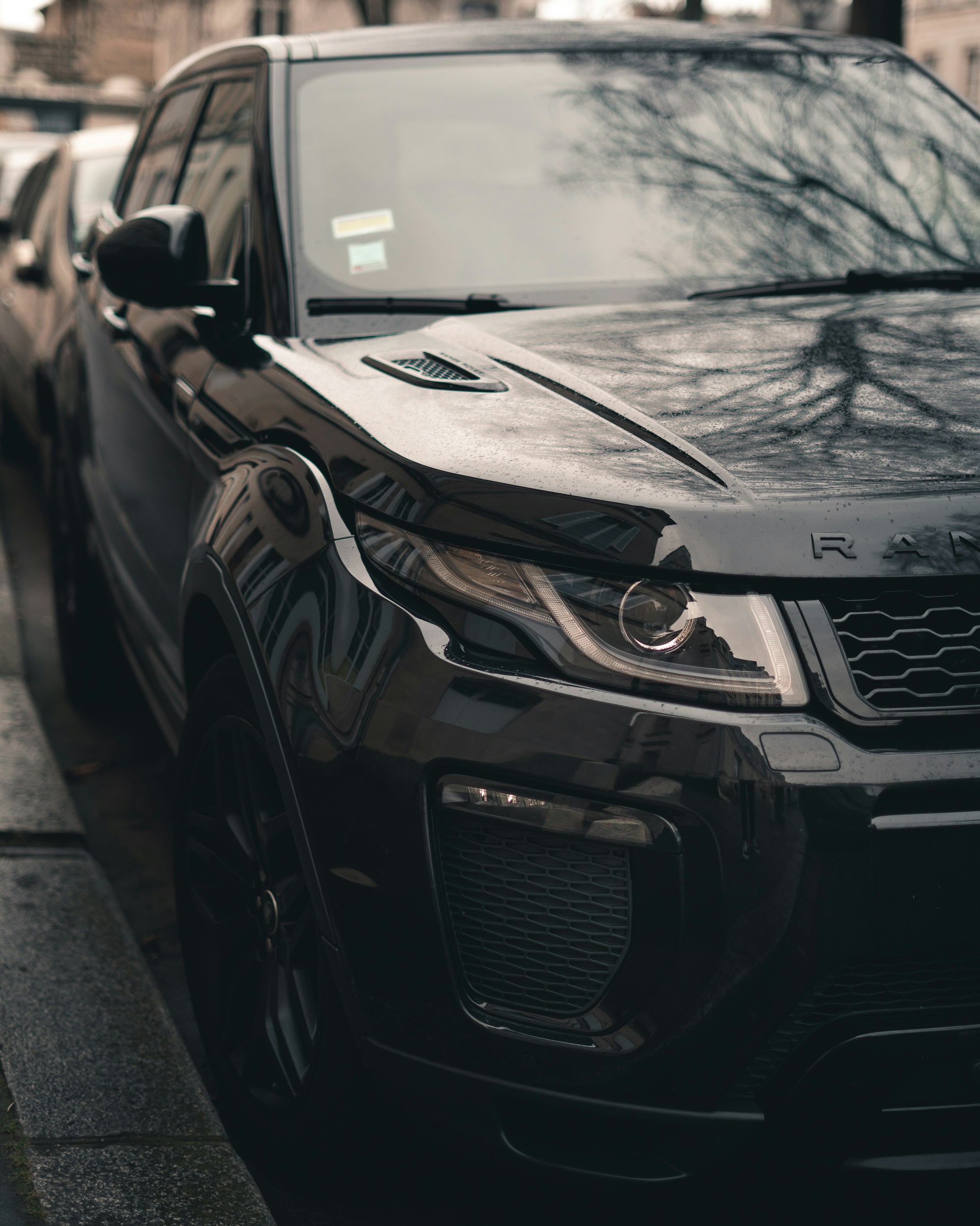 Photo by loris_marie