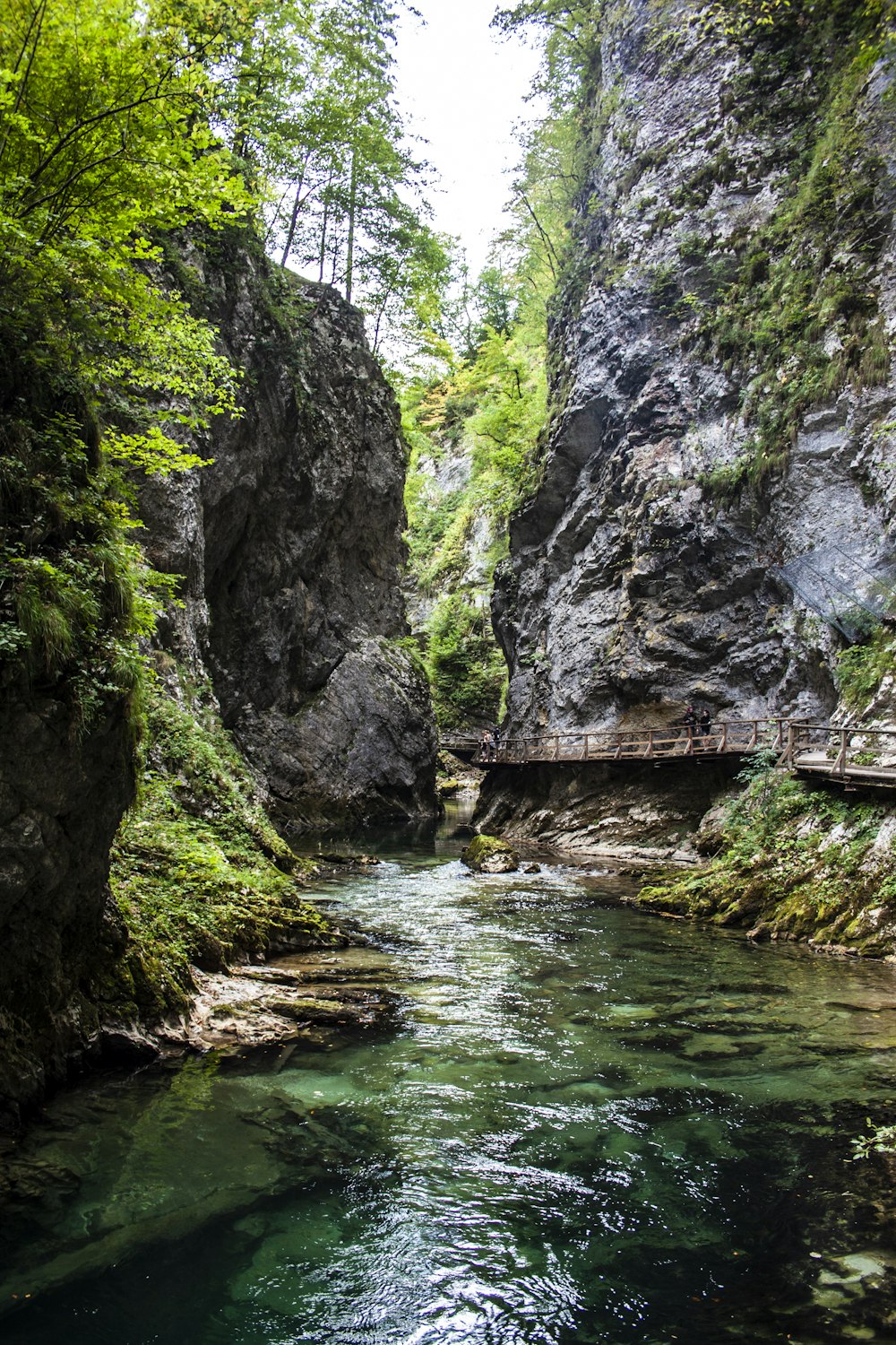 gray rock formation near river