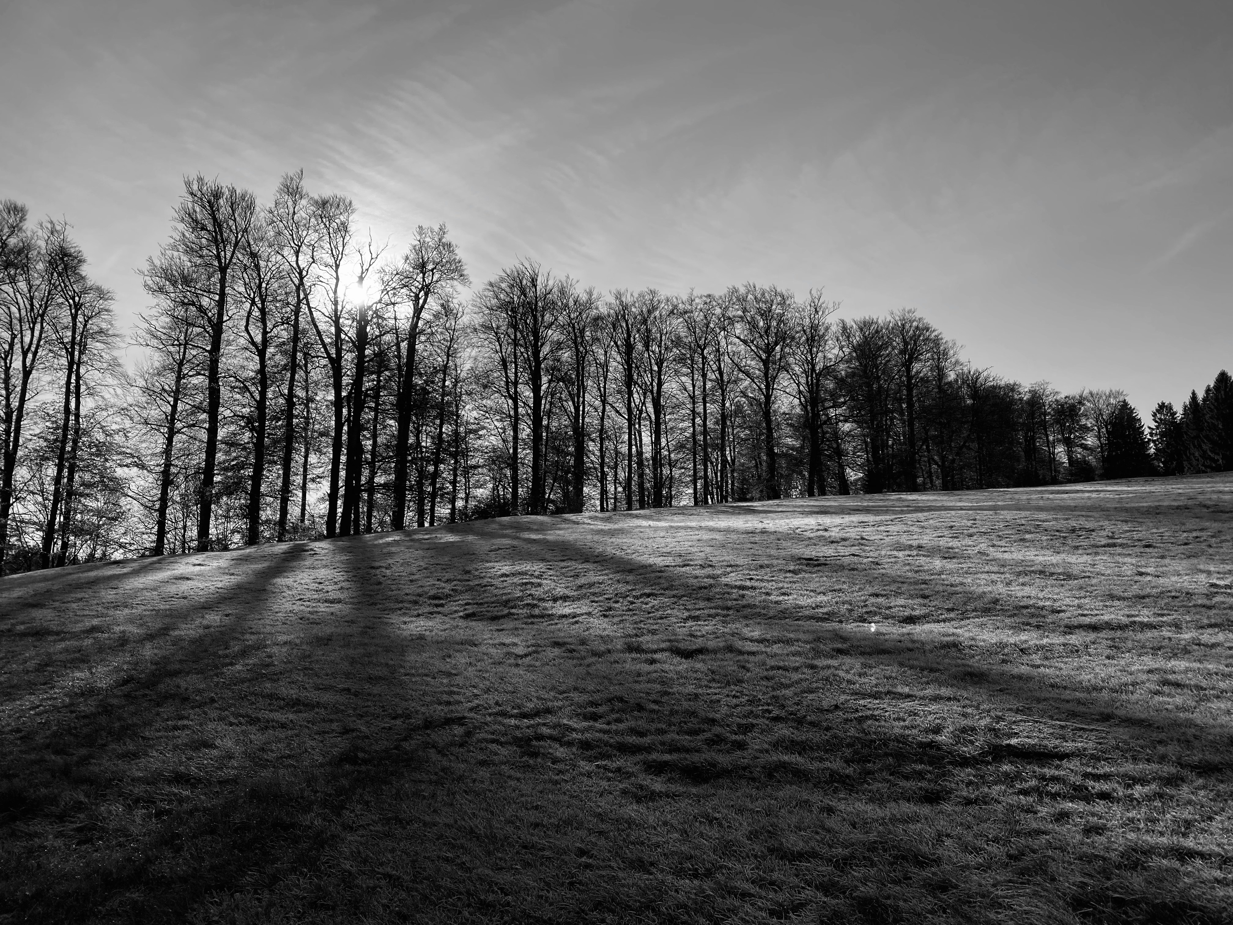 Photo by blazpikalupse