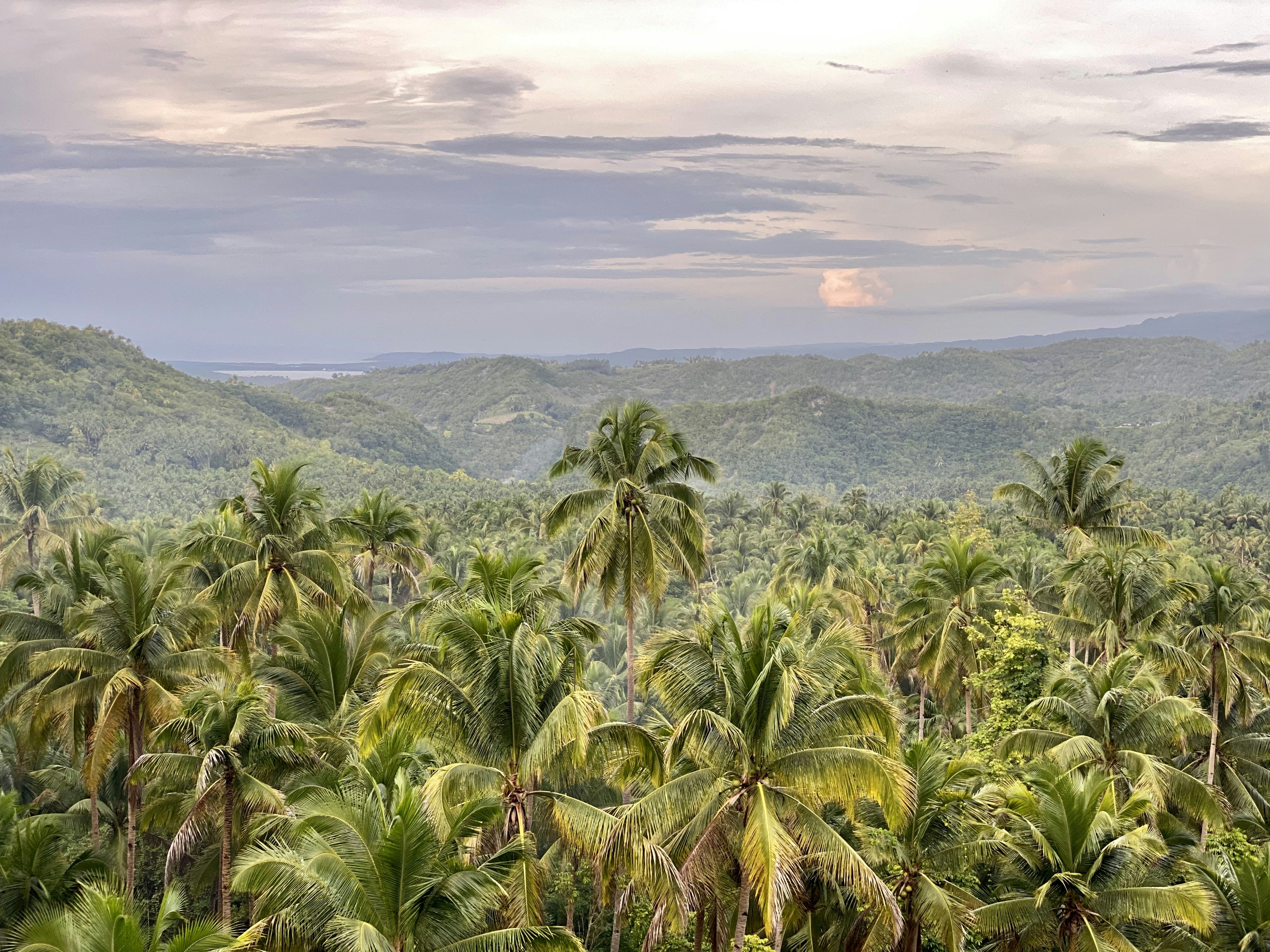 Photo by blazpikalupse