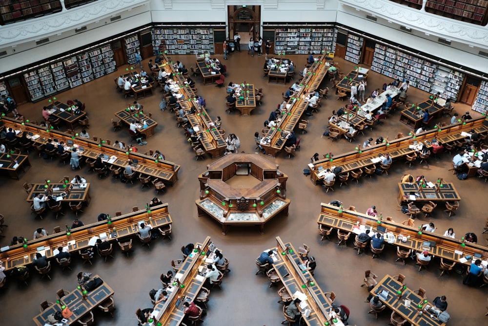 people inside library
