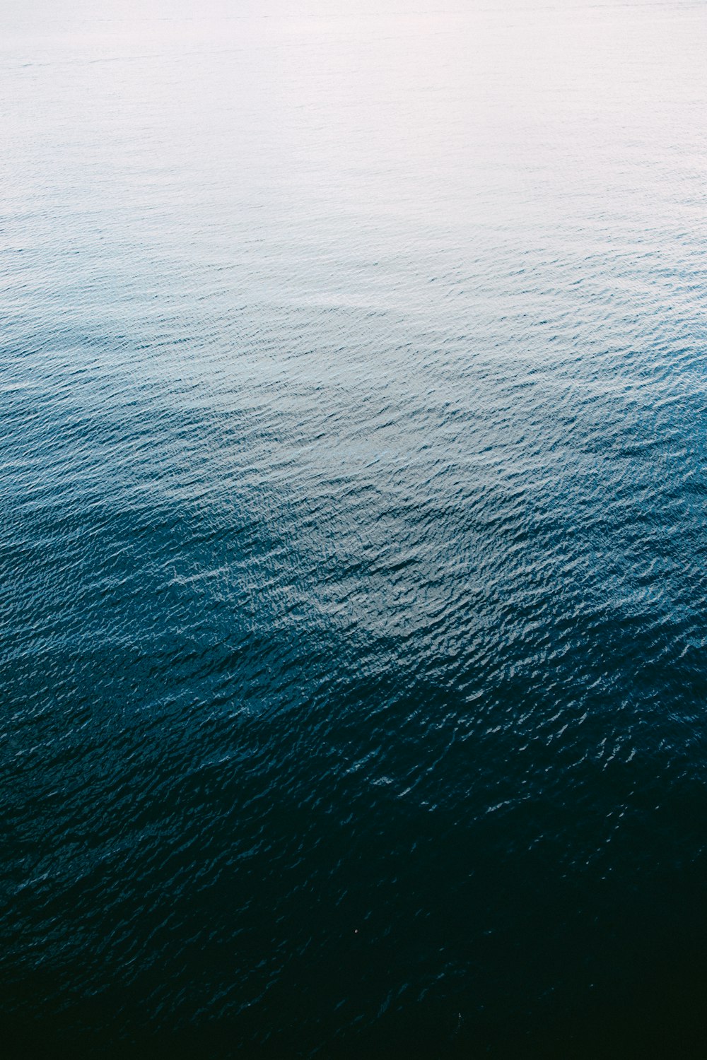 1K+ Pacific Ocean Pictures | Download Free Images on Unsplash