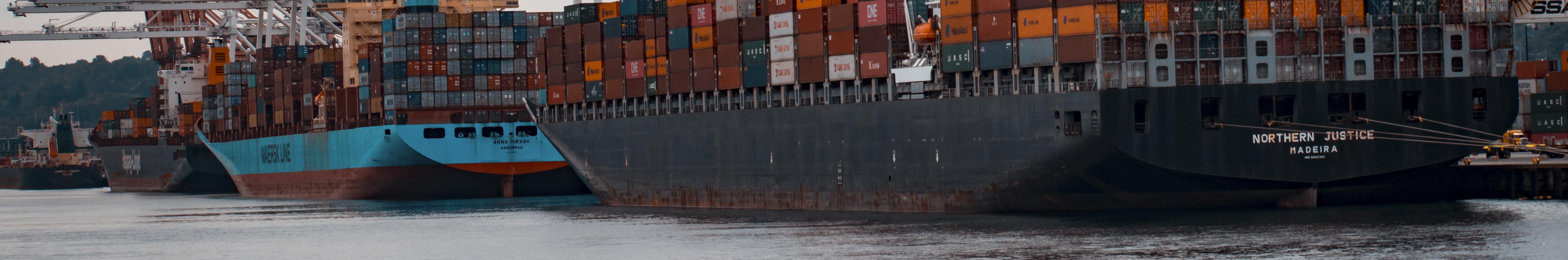 Hutchison port lacks transparency, by disclosing the waste of 2 ports from a total of 52