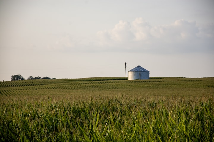 Singing at the Silo